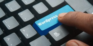 Wordpress Development Company in Dubai